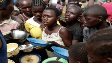 CE4FA126 978B 4426 9AD1 280ECD6C13B9