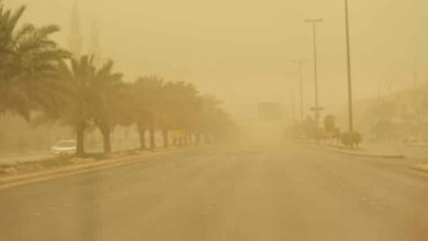 CE737C45 1ED4 4551 B712 2B8FD3B124AB