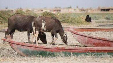 CE92B571 BD57 49E5 9BAF 2D0947B62EF1