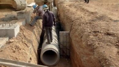 D1BB43B2 D0DE 473B 9456 830FD150C27D