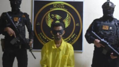 D35A2E30 BD44 4173 B0C3 2A3113DEBB61