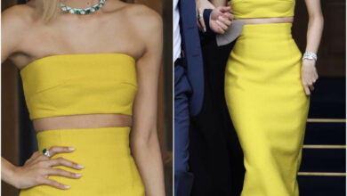 D3BAE7EC E490 4202 9DA6 0A3530EF7EA1