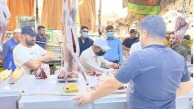 D452F22E DF3A 4563 B216 CEA9EFEDE601