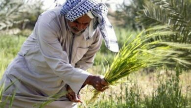 D4CDEE0C 23E3 459B 8D47 CCB03FF226CA