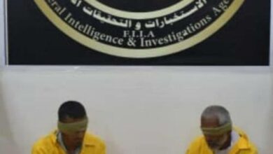 DAE0CFC7 5CC5 4AFA A0DB B1D9D81CB181