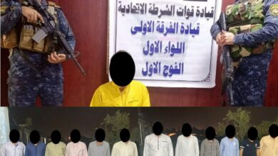 DC0E0DE9 56EC 4EEB 8EDC 2354119DE5C0