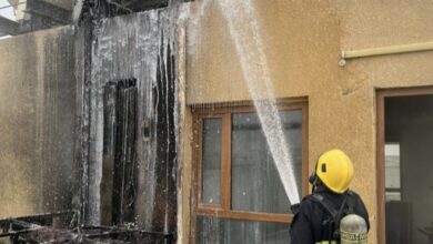 DE225C19 1952 4965 972F 047BCD50487C