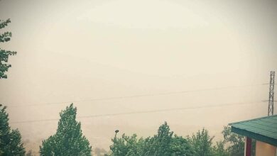 E06E5BCD 93E2 4FE4 AD65 17E68549D255