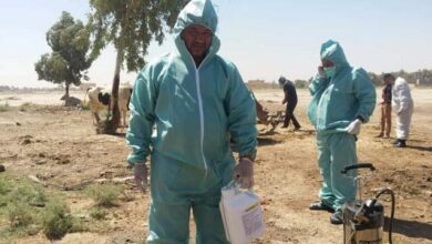 E11F3AC6 D4A0 41A0 99BE BA1BEEF7BAAC