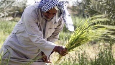 E1334201 5767 45D3 982B 55FBA1E7D735