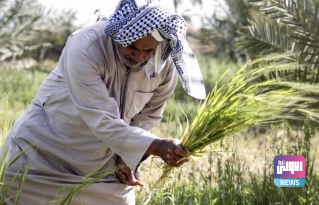 E1334201 5767 45D3 982B 55FBA1E7D735