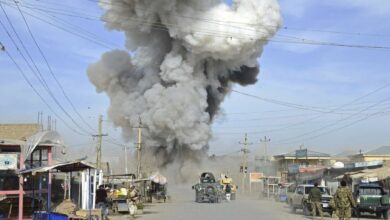 E1E3F366 B788 4B61 A5C1 D1C421DD19F7