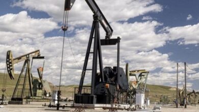 E2136930 4844 47E5 BB74 B19A05499CD8