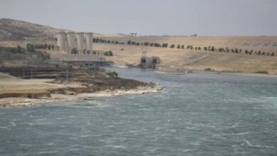 E61F624B 7DFA 4323 B23C D76BBB7EC441