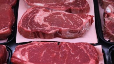 E6759AE3 5353 4888 A3C2 73B32B0DF530