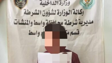 E73310F1 C587 4FA8 8749 57F8125330A8