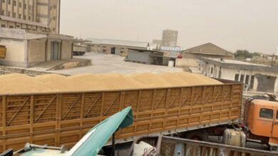 تجارة الأنبار تسلم 120 ألف طن من الحبوب 4 E8183828 E343 4AFF 9A99 93FAC4E745B1