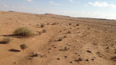 E9234291 AEF4 47F4 B8DB CD5B793E0119