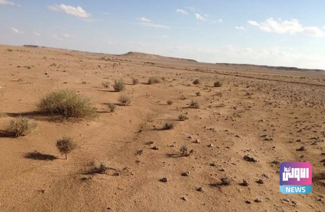 E9234291 AEF4 47F4 B8DB CD5B793E0119