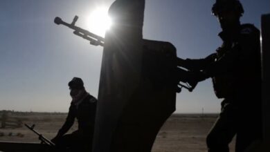 ED4A6913 2446 4323 8CC5 21854249B814