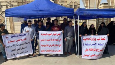 ExtImage 4634535 378654848