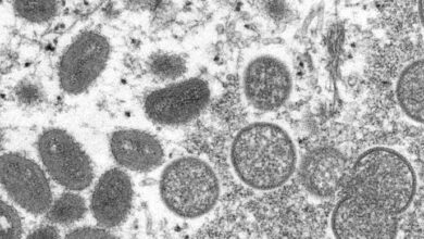 F6246A5E CA73 41F8 9E43 F1C72FB63567