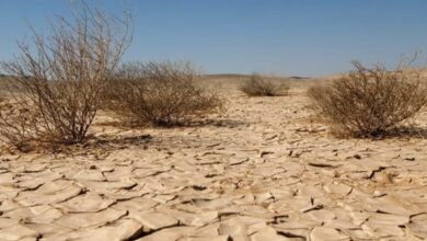 F7F2EBBF 73DE 4401 8562 05CE8BED7DB2