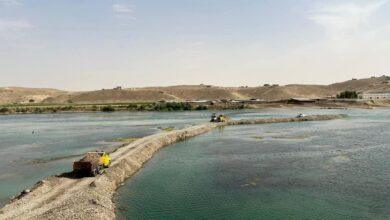 F90CD433 31B9 4C62 9186 D5439C5D012B