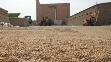 FB IMG 1655580294446