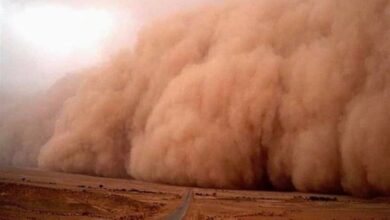 FB IMG 1655740945042