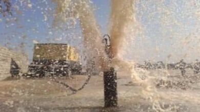 FB IMG 1656535554348