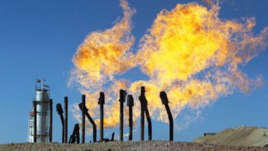 FE3691B8 87D8 4D39 A065 E810BBE9D3EC