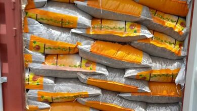 ضبط ثلاث حاويات مخالفة لشروط الاستيراد في منفذ ميناء أم قصر الأوسط 5 IMG 20220622 WA0021