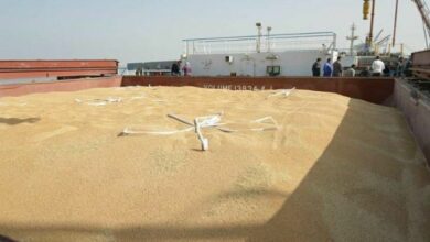 IMG 20220602 182600 957