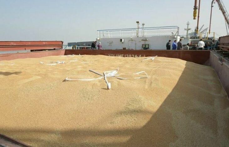 التجارة توضح موقف الخزين من الحنطة وتكشف عن عروض من ثلاث دول 1 IMG 20220602 182600 957