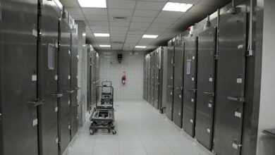 IMG 20220612 104937 749