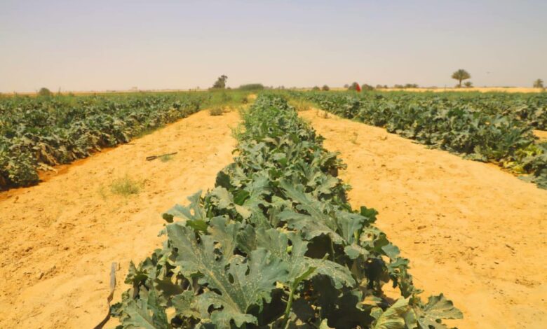 IMG 20220621 142103 591