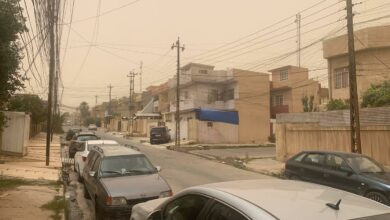 IMG 20220625 141324 484