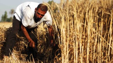 IMG ٢٠٢٢٠٦١٠ ١٦٢٧٣٣