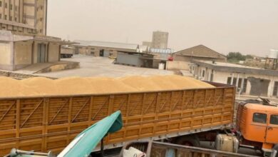 IMG ٢٠٢٢٠٦١٦ ١٨٢٣٣٠