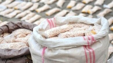 IMG ٢٠٢٢٠٦٢٩ ١٧٠١٢٨