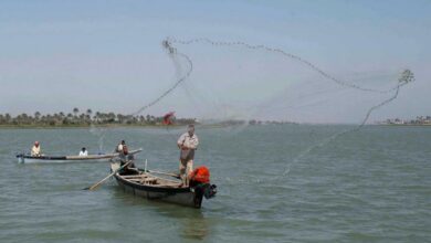 الكارب اختفى والبني والكطان يحتضران.. ملوحة شط العرب تضرب الثروة السمكية 6 RTR2KEI3