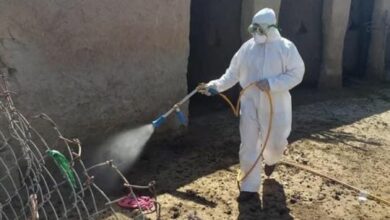 big 1c9ff23703030d4a82bd058befdd89c85c791570