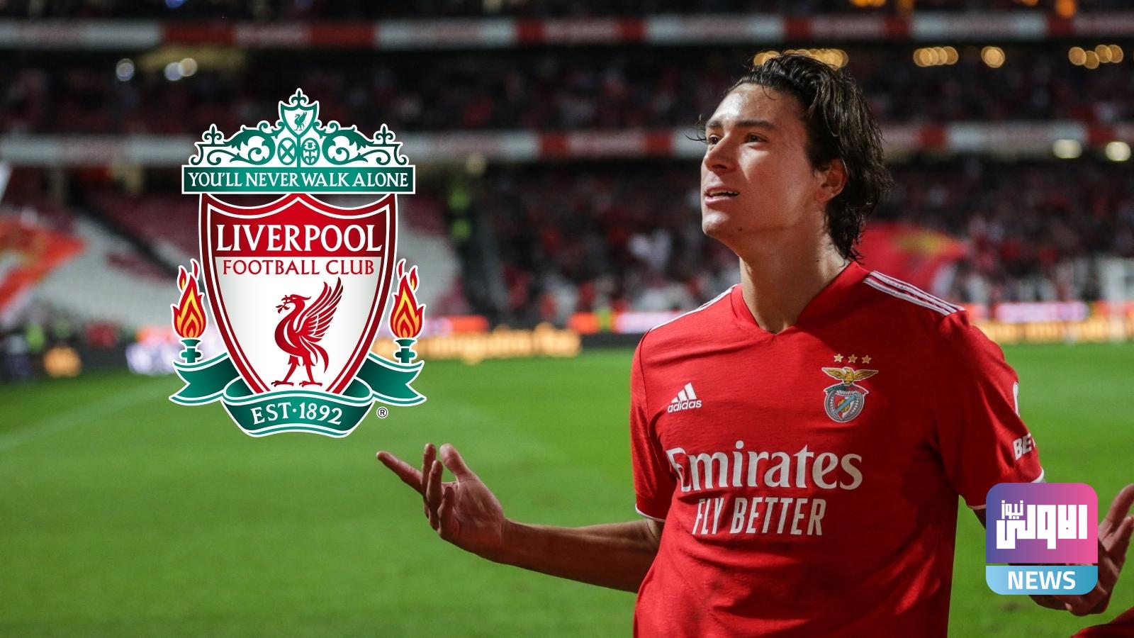 بنفيكا يكشف تفاصيل صفقة ليفربول التاريخية 3 nunez crest best