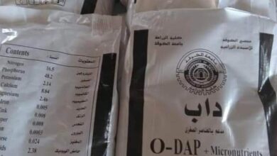 upload 1654189965 100897235