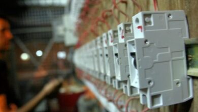 upload 1654711443 415519660