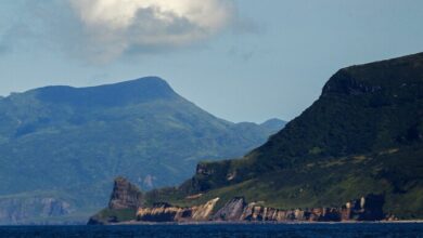 روسيا تحرم اليابان من صيد الأسماك في الكوريل 4 upload 1654844315 352081816