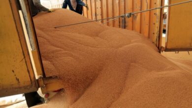 upload 1654848544 1857277693