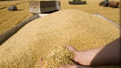 upload 1654893352 1992660431