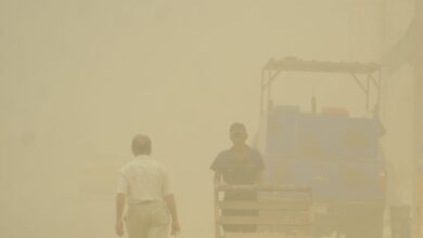 upload 1655026645 1786403846.jpeg